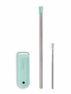 Stainless Steel Reusable Straw, Cleaning Brush, Case and Clip